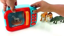 Y animales colores de sonidos juguetes salvaje Parque zoológico Schleich jugar / aprender safari animales / lea