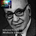 Kalam-e-Shayer - Mohsin Ihsan Ki Awaz Mein Ghazal - Jo Shaakh Se uRaa Hai Woh Taayer Nazar Mein Hai