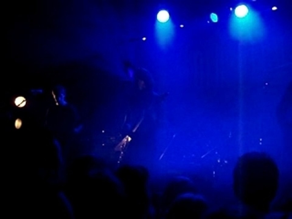 The Old Dead Tree - Dive