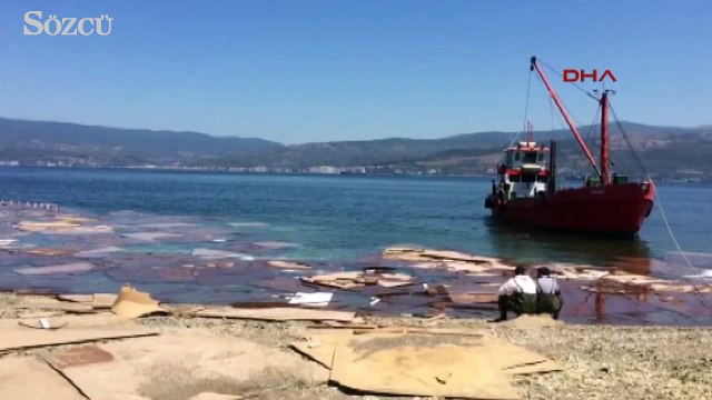 Bursa Gemlik sahilinde sunta kirliliği