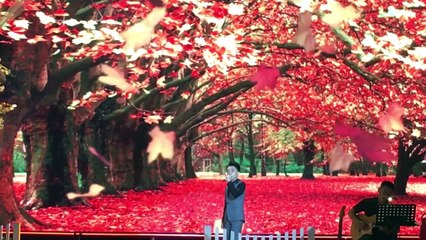 Con Đường Xưa Em Đi -Phương Mỹ Chi, Trung Quang