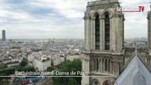 Il faut 150 millions pour sauver Notre-Dame de Paris