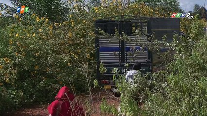 xem phim Lẩn Khuất một tên người htv9  tập  14 nhấn vào link dưới để xem