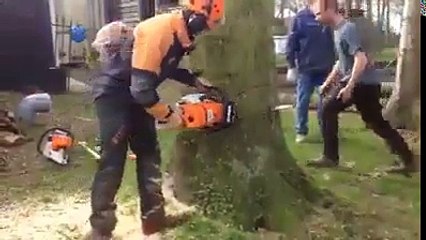 Nunca viste ninguem cortar uma arvore assim