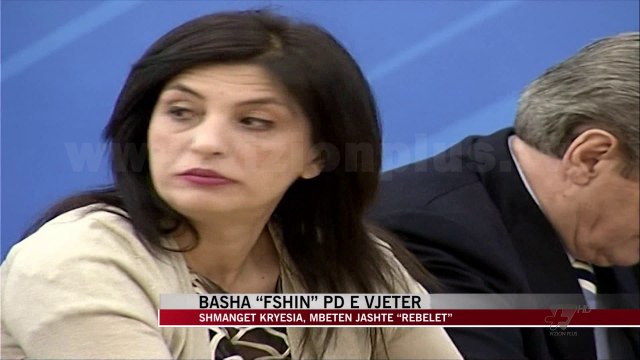 Basha “fshin” Partinë Demokratike të vjetër - News, Lajme - Vizion Plus