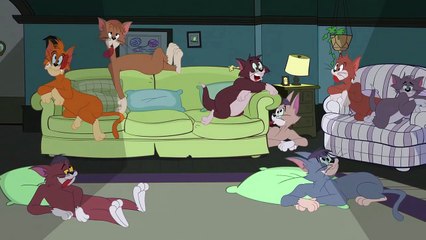 Tom & Jerry - The Best Roommates a Crazy Dog Can Ask