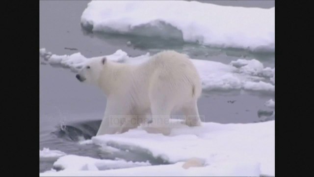 Trump mban botën në ankth për paktin e klimës- Top Channel Albania - News - Lajme