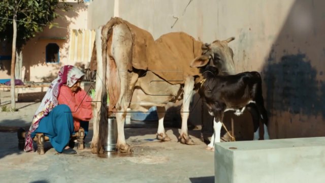 Индија, 84 годишна жена со 150 медали во стрелање