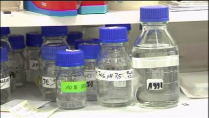 Krijohet superilaçi - Top Channel Albania - News - Lajme