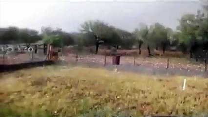 led veličine loptice pobio ovce, uništio auta…