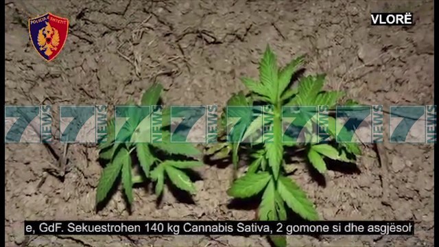 OPERACION ANTIDROGE NE JUG TE VENDIT, SEKUESTROHEN 2 GOMONE - News, Lajme - Kanali 7