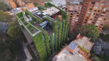 El jardín vertical más grande del mundo