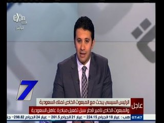 #السابعة | السيسي يبحث مع المبعوث الخاص لملك السعودية ونظيره القطري سبل تفعيل مبادرة عاهل السعودية
