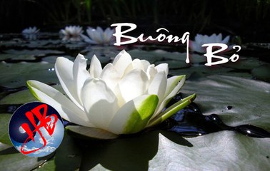 14 câu nói của Phật tổ, đọc xong tỉnh ngộ khỏi cơn mê