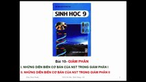 Bai giang Sinh hoc 9 - Bai 10 - Giam phan