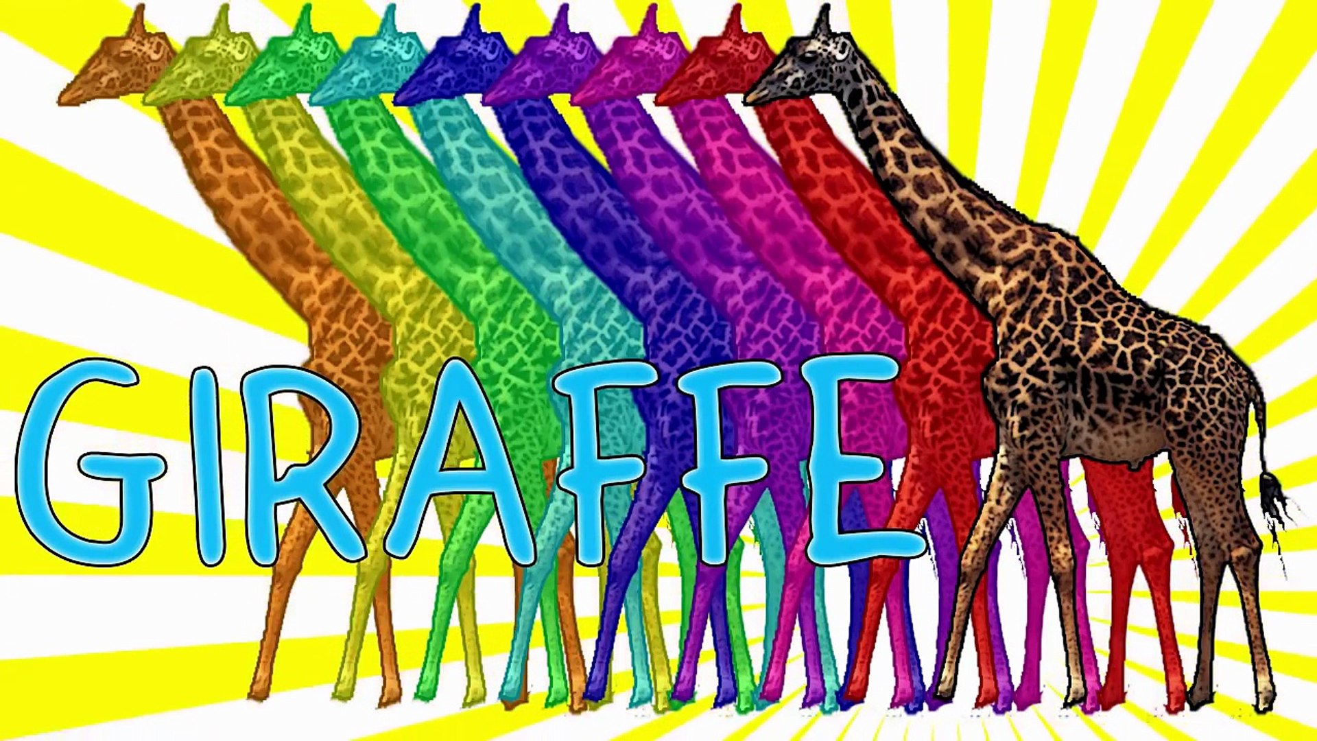 Animal Finger Family Song!! Finger Family Song for Kids, Finger Family Song Animals, Daddy Finger , 