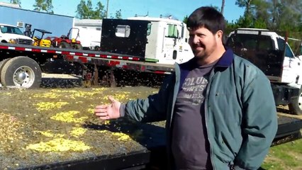 Nourrir 2 millions d'abeilles d'un coup avec du pollen !