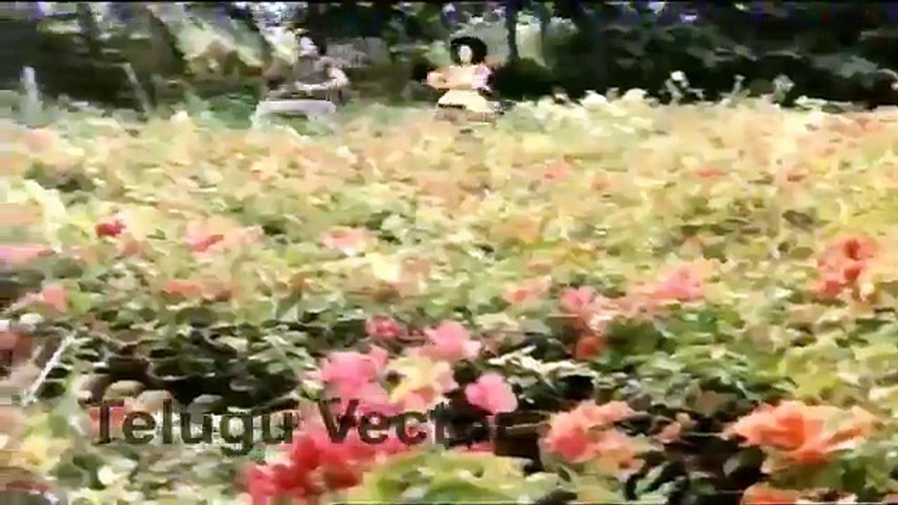 Telugu Full Movie New Releases _ Telugu Action Movie _ Telugu Full Movies _ 2016 Upload, Hd Movies 2017 & 2018 Tv series