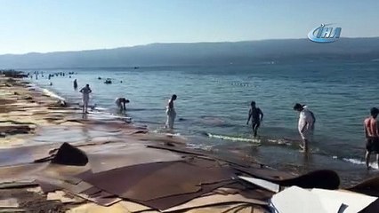 Kıyıya vuran suntaların temizliğine Büyükşehir el attı