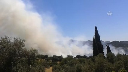 Bodrum'da Otluk ve Makilik Alanda Yangın