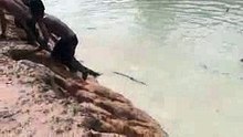 سمعنا عن الشجاعة كثيراً، لكن هنا لن تحتاج لسماعها بعد الآن شاهدها  بنفسك