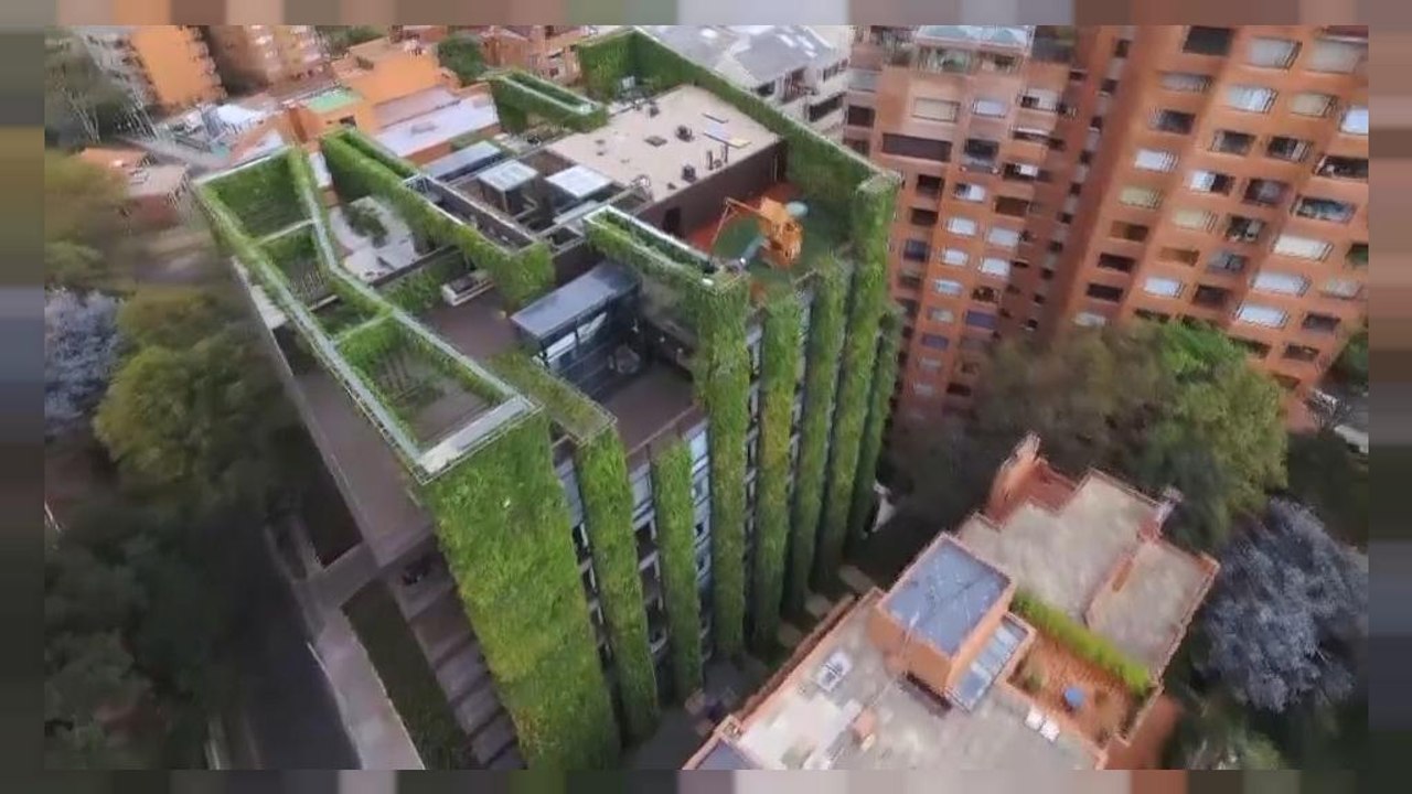 Schlechte Luft: Vertikaler Garten erfrischt Bogotá