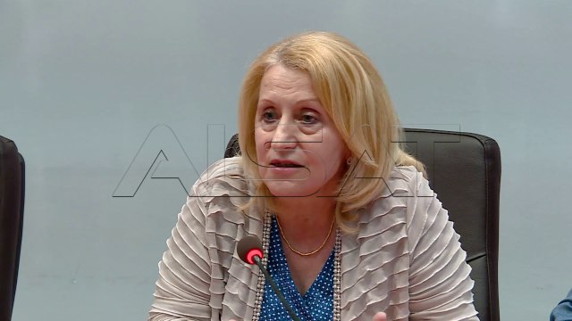 Иницијативата за продолжување на породилното не помина во Собранието