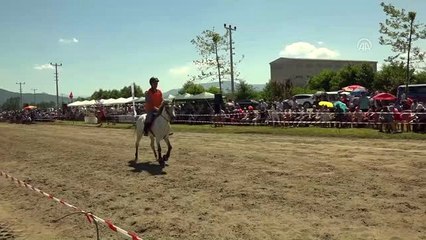 Rahvan At Yarışları