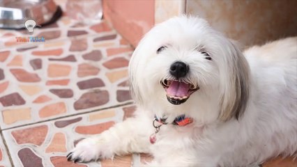 6 Plastic Bottle Life Hacks You Should Know