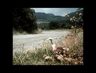 Trancework 1 - What Is Hypnosis