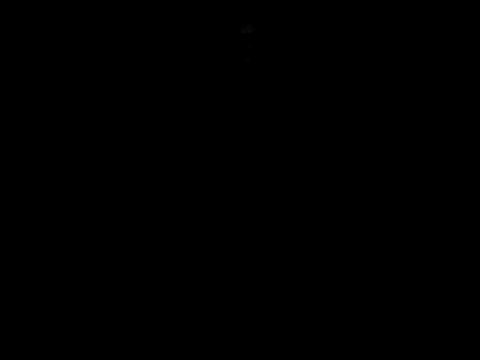 MOV01292