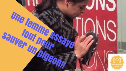 Une femme essaye tout pour sauver un pigeon!!