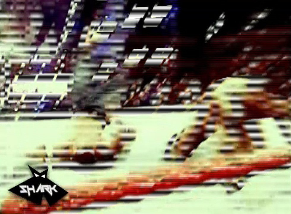 John Cena vs Randy Orton Summerslam 2007 en español