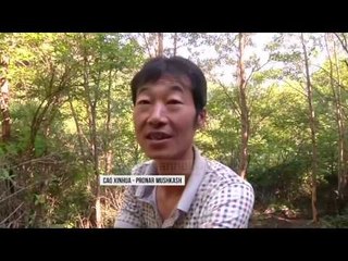 Muri kinez do restaurohet me mushka  - Top Channel Albania - News - Lajme