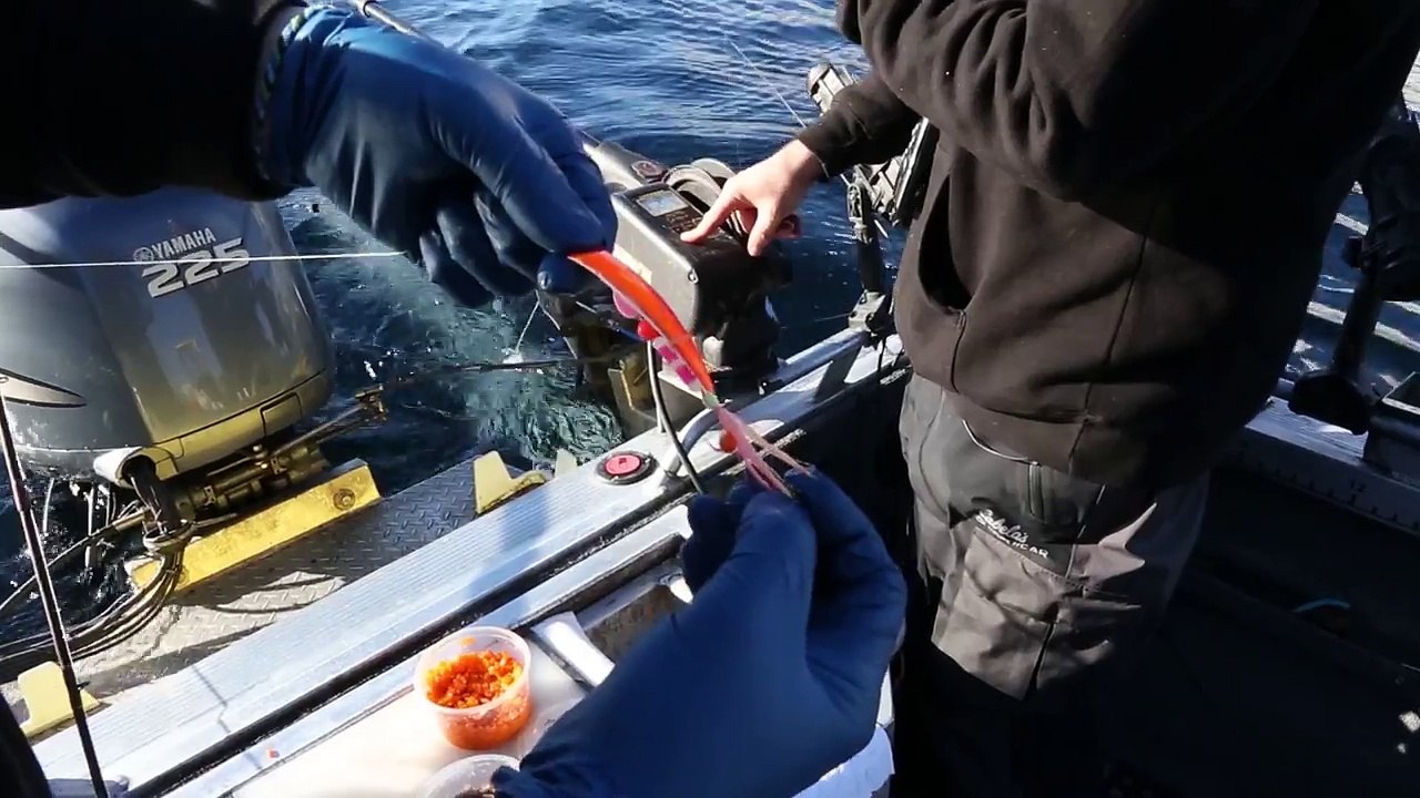 Rigging the Brad's Kokanee Cut Plug Super Bait video Dailymotion