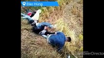 Funny Chinese videos - Prank chinese 2017 can't stop laugher