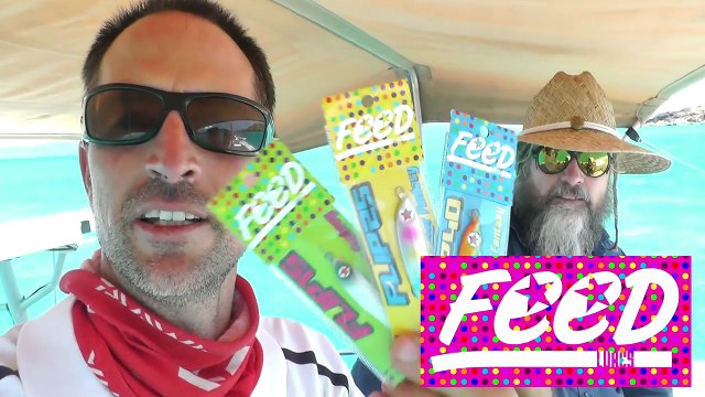 Micro Jigging with Feed Lures and Craig Andy's Fish Video EP.309