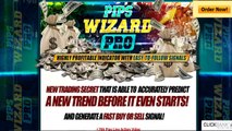 Best Forex Indicator for Scalping Pips Wizard Pro system