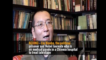 Doctors Say Chinese Dissident Is Fit to Travel for Cancer Treatment