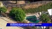 Bystander Rescues Woman After Pickup Truck Plunges Into Backyard Pool