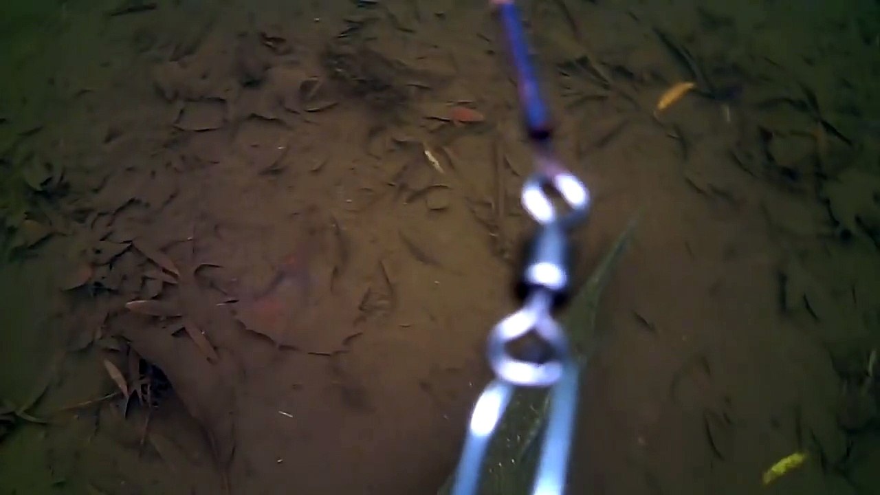 Pike Investigating and Taking Deadbaits! Underwater Footage!