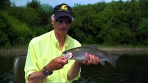 Trout Fishing - Dry Fly Trout Fishing