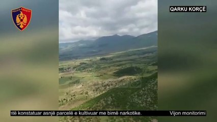 Parandalimi i kultivimit të kanabisit - Top Channel Albania - News - Lajme