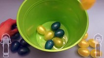 Learn Colours with Surprise Eggs! Mixing Primary Colours! Mixed in a HUGE JUMBO Egg! Toys