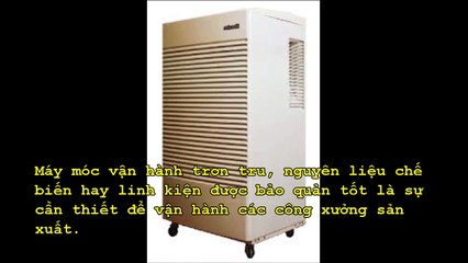 Máy hút ẩm loại nào tốt nhất