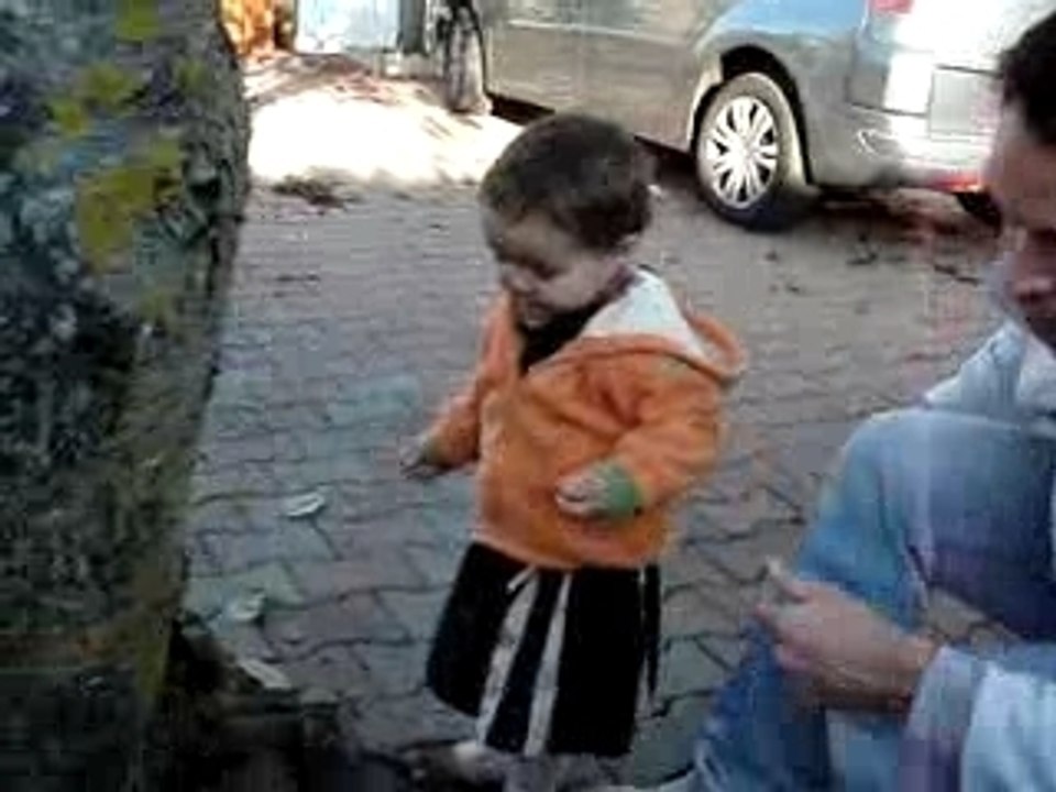 MOV04341