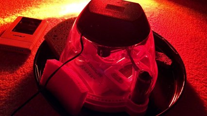 Night 18 - Duck Egg Candling - Why We Are Incubating Eggs - Incubating and Hatching Tips