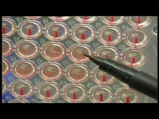 SHQIPTARI ME I URRYER DEL NE GJYQ, MARTIN SHKRELI RRITI ME 5 MIJE PERQIND ÇMIMIN E ILAÇIT LAJM