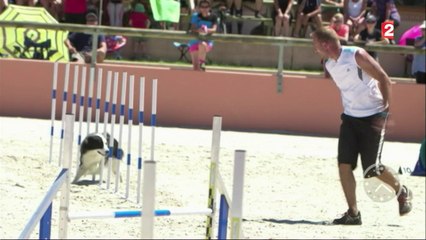 Faune - Les chiens aussi ont leur championnat !