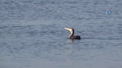 Ege'de Depremlerin Ardından Afet Toplanma Alanları Artırılıyor